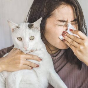 Alergia a las mascotas, si es posible