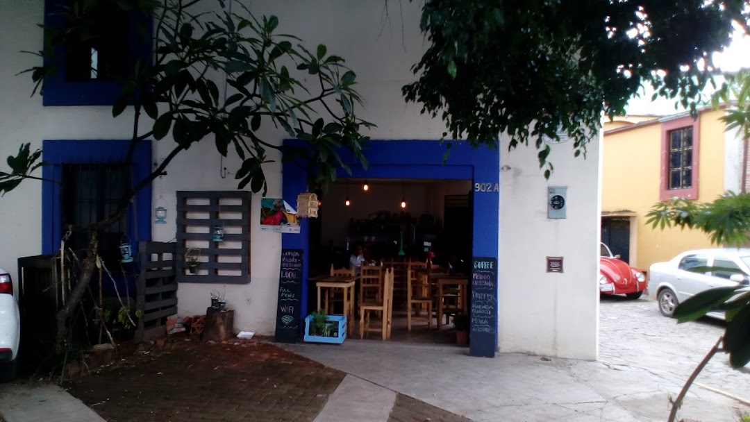 Café Latitud 17 en Oaxaca