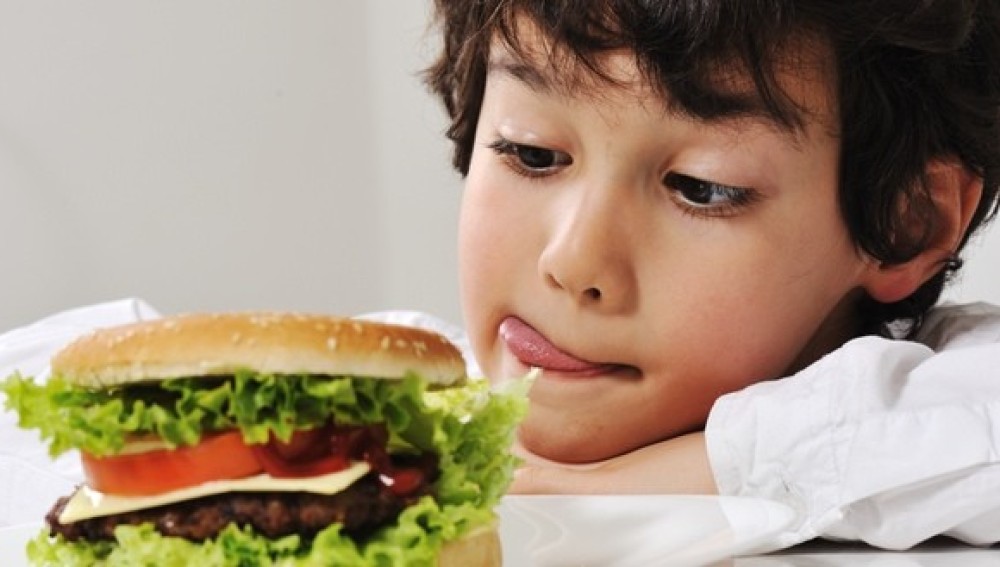 errores en alimentación