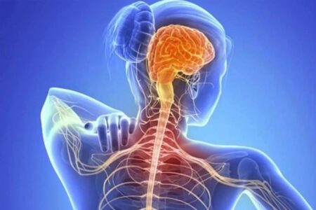 animación que representa la esclerosis lateral amiotrofica